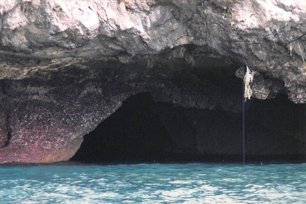 2017_05_28_11_53_04.pdf035