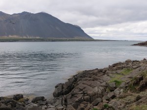 Back to reykjavik Independence Day-camera 015