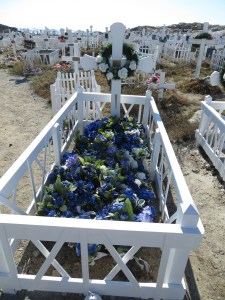 Flight and Greenland Day 1- camera 175