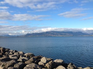 Reykjavik 2013-Iphone 2013-06-06 017