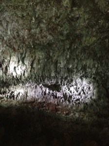 Snaffaeleness iphone 051