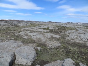 South East & North Iceland day 3-5 roadtrip 394