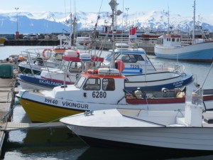 South East & North Iceland day 3-5 roadtrip 522