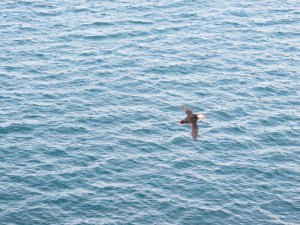 South East & North Iceland day 3-5 roadtrip 665