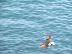 South East & North Iceland day 3-5 roadtrip 670