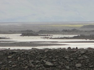 South Iceland 038