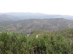 A view from the trail at Monserrat