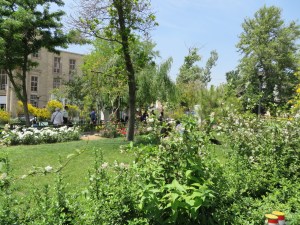 Lovely Park for relaxing