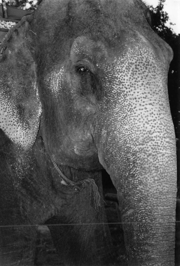 2017_05_28_13_25_34.pdf007