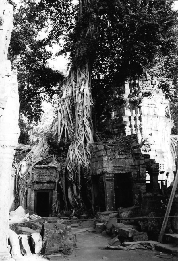 2017_05_28_13_25_34.pdf010