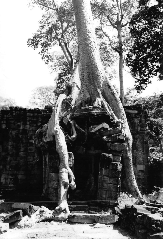 2017_05_28_13_26_38.pdf002