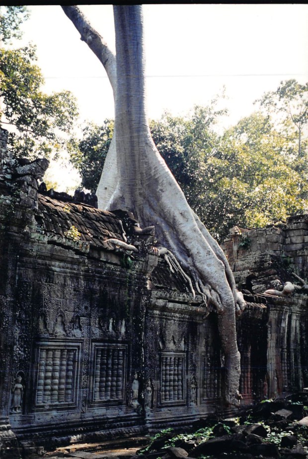 2017_05_28_13_26_38.pdf012